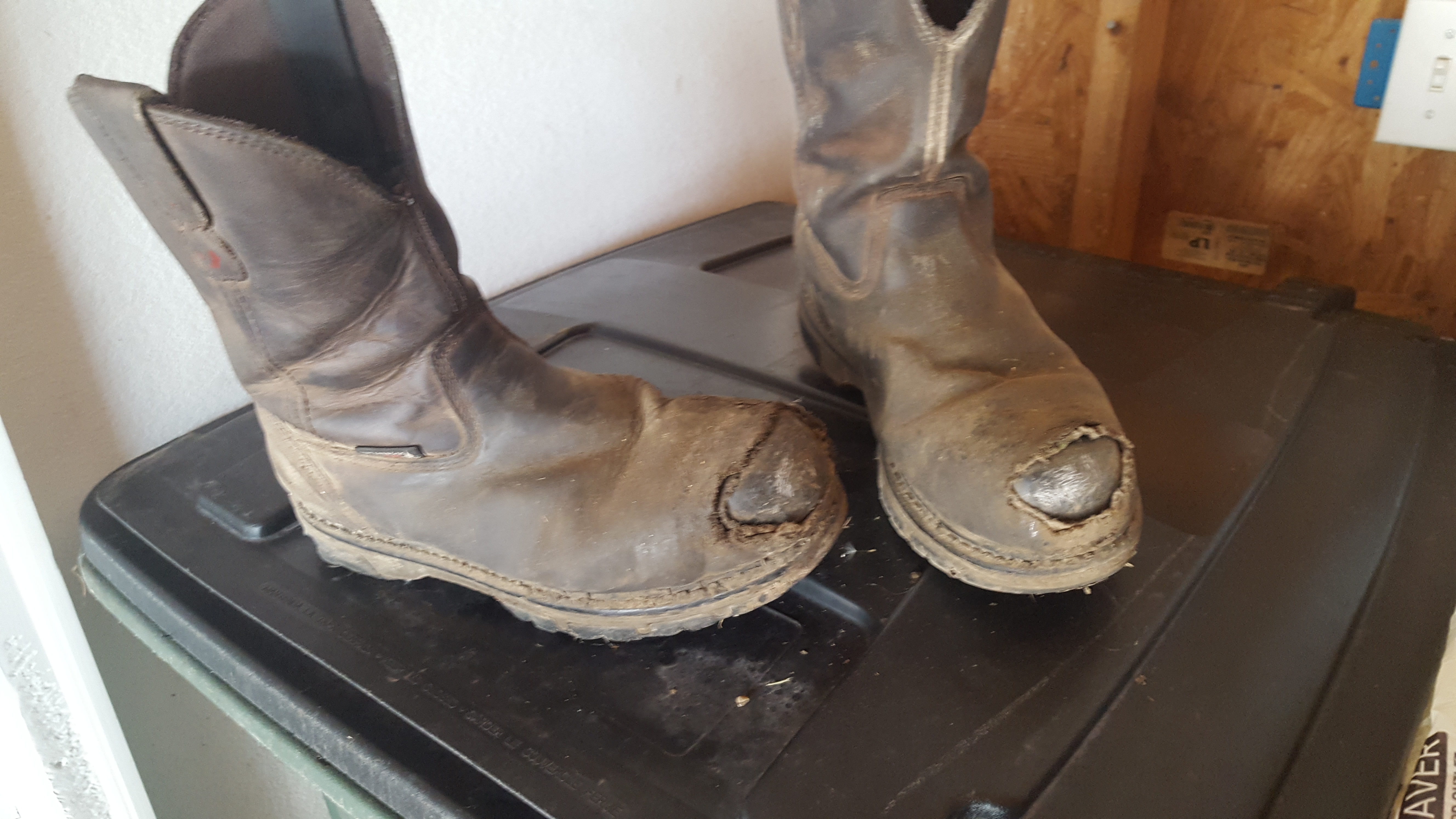 wolverine nation durashocks carbonmax boots