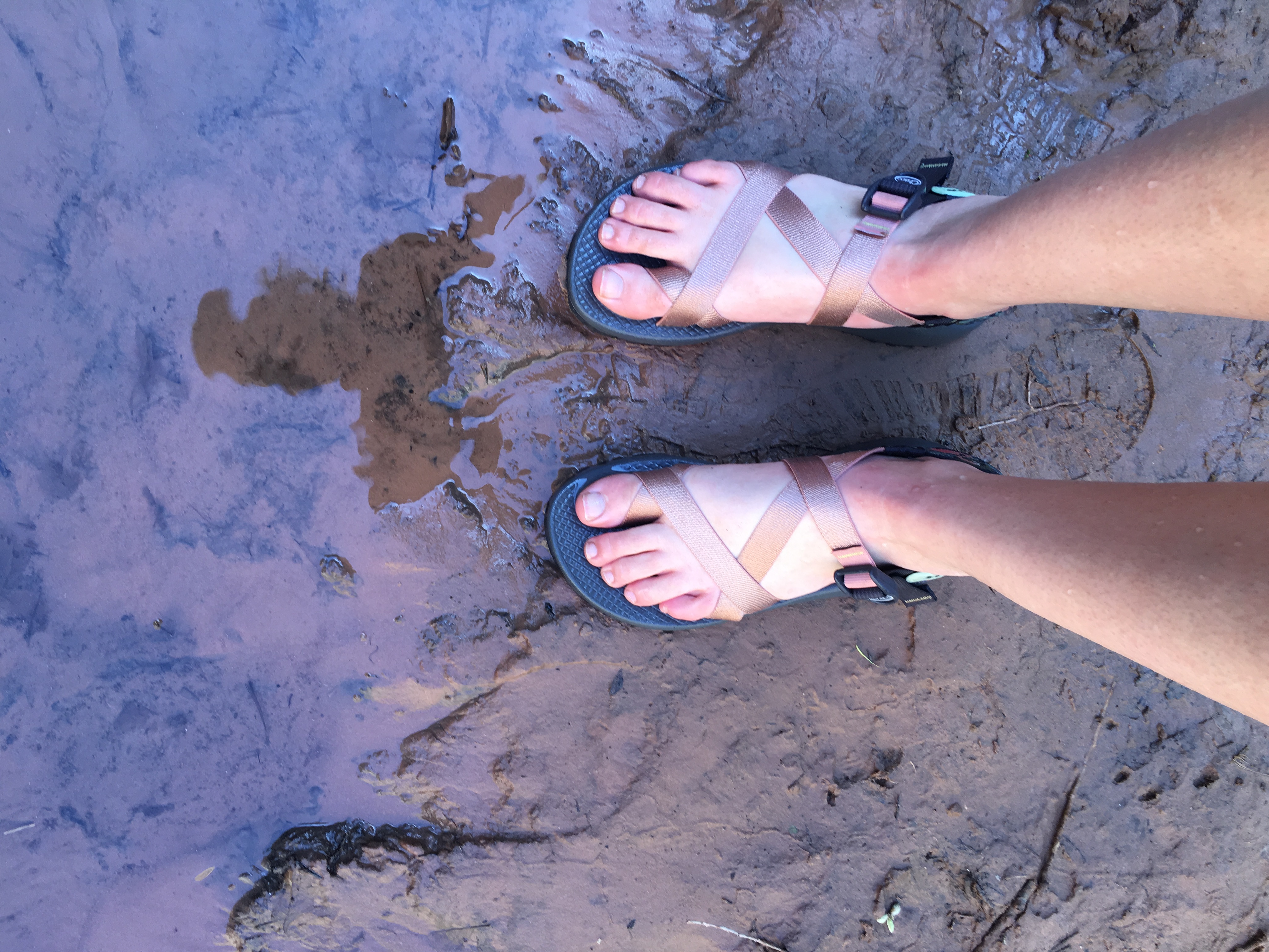 chacos on people's feet